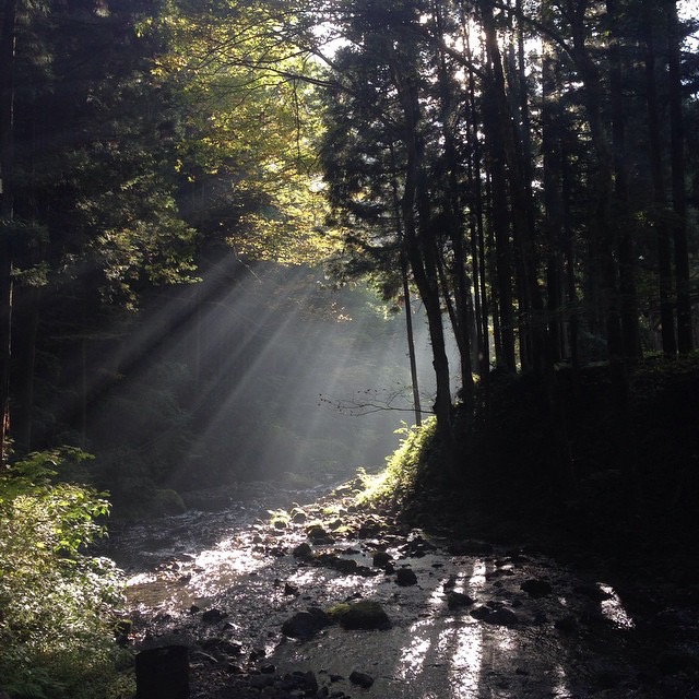 小松崎 純出演のスケジュールです